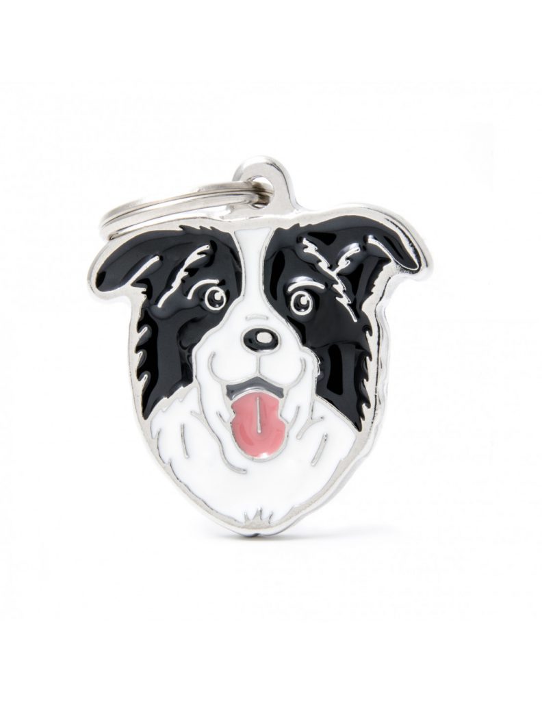 Nimilaatta kaiverruksella - koirarotu-nimilaatta bordercollie